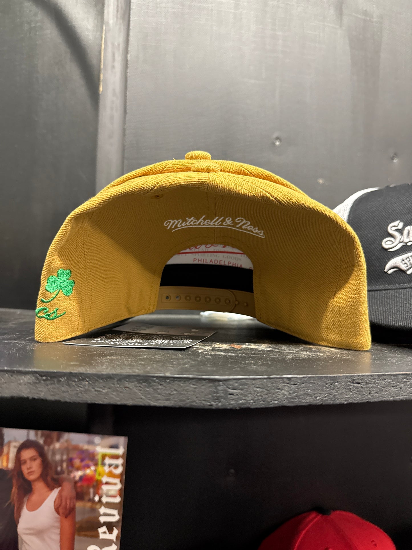 NBA Dusted Arch Pro SnapBack HWC Celtics