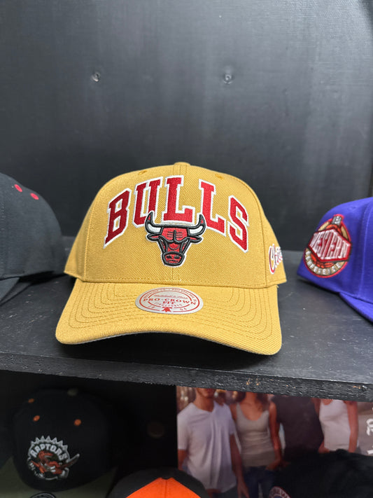 NBA Dusted Arch Pro Snap Back HWC Bulls