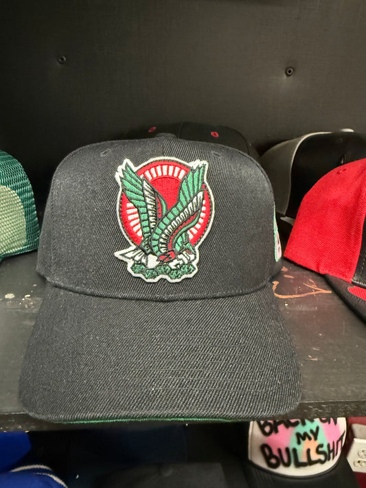 FIFA World Cup snap back hat