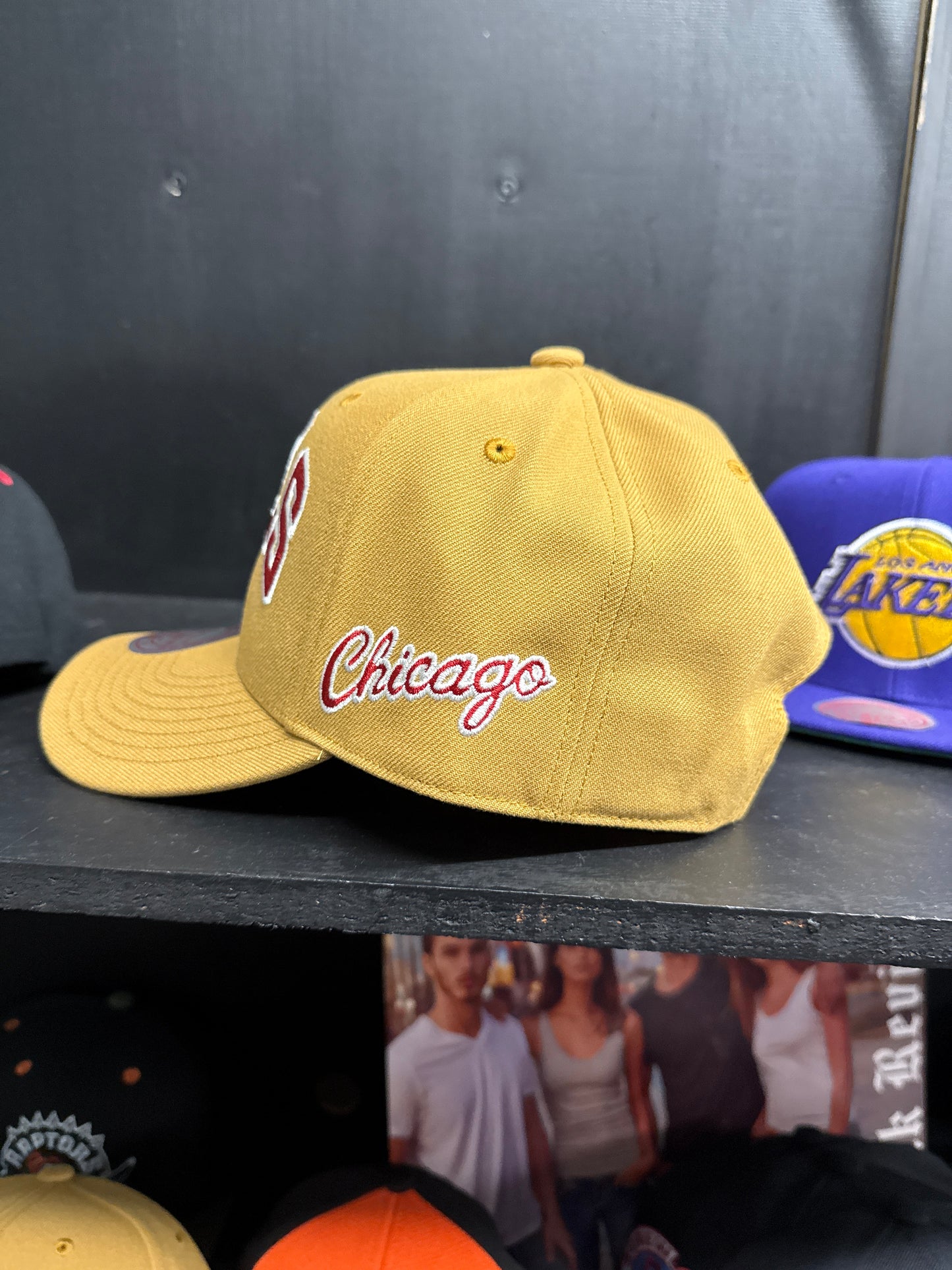 NBA Dusted Arch Pro Snap Back HWC Bulls